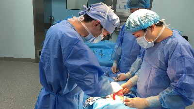 膽囊切除后為什么長期腹瀉？
