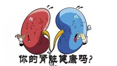 慢性腎臟病包括哪些疾??？