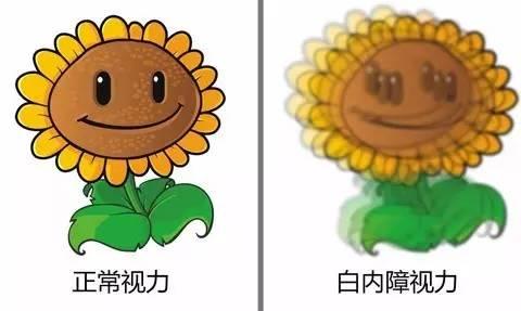 白內障視力